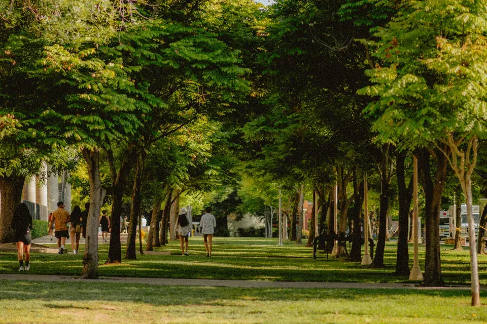 Serving the Scenic Oaks Community with Local Expertise — Scenic Oaks, TX